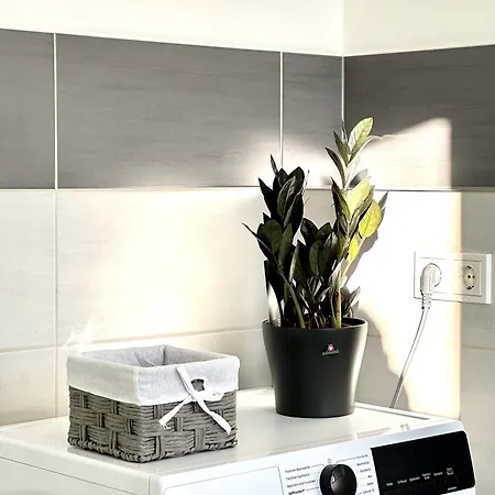 Apartment Am Harz Mit Küche, Balkon, Waschmaschine, Parkplatz Mit Wallbox *