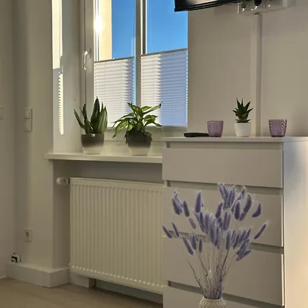 Am Harz Mit Küche, Balkon, Waschmaschine, Parkplatz Mit Wallbox *