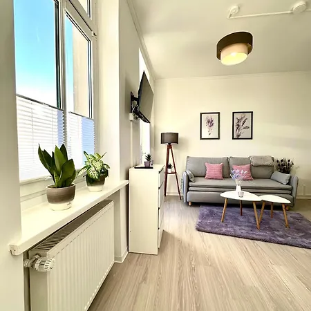 Apartment Am Harz Mit Küche, Balkon, Waschmaschine, Parkplatz Mit Wallbox