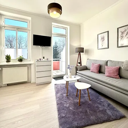 Am Harz Mit Küche, Balkon, Waschmaschine, Parkplatz Mit Wallbox Apartment Ballenstedt