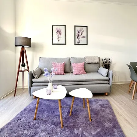 Am Harz Mit Kueche, Balkon, Waschmaschine, Parkplatz Mit Wallbox