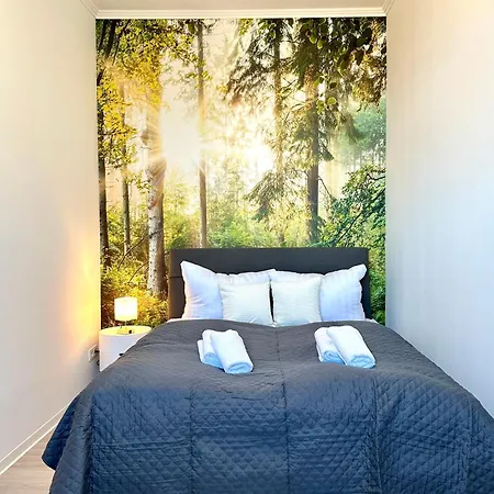 Apartman Am Harz Mit Kueche, Balkon, Waschmaschine, Parkplatz Mit Wallbox