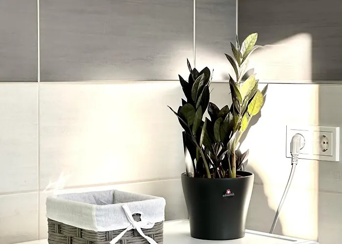 Appartement Am Harz Mit Kueche, Balkon, Waschmaschine, Parkplatz Mit Wallbox *