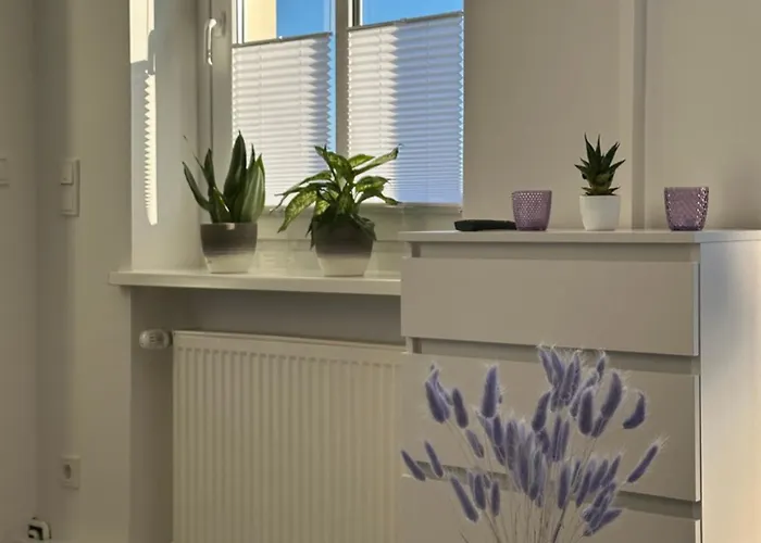 Am Harz Mit Kueche, Balkon, Waschmaschine, Parkplatz Mit Wallbox *