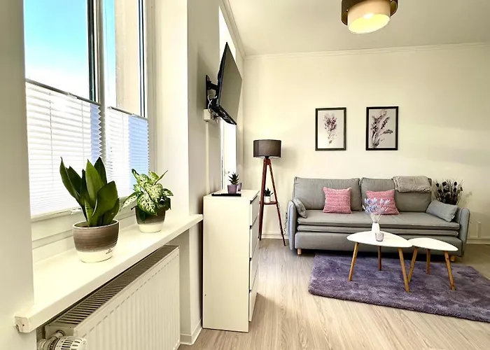 Appartement Am Harz Mit Kueche, Balkon, Waschmaschine, Parkplatz Mit Wallbox