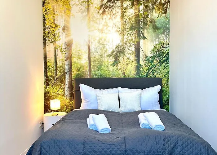 Appartement Am Harz Mit Kueche, Balkon, Waschmaschine, Parkplatz Mit Wallbox